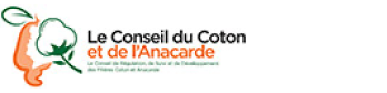 Banner 06
